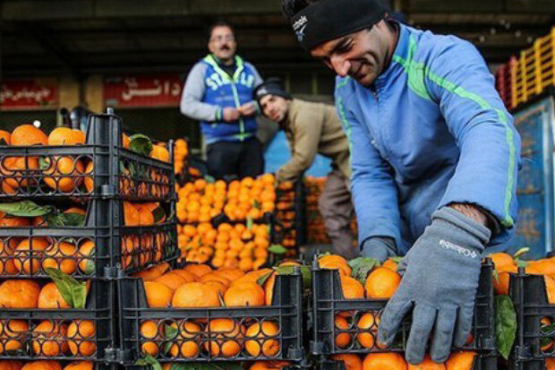 ارزش ۵.۲۷ میلیارد دلاری خرید جهانی پرتقال وارداتی در ۲۰۲۲ /ایران نهمین تولید کننده میوه پرتقال