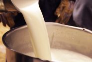 میلیون تن شیر خام سالانه در کشور تولید می‌شود/هیچ کمبودی در تولید شیر خام وجود ندارد
